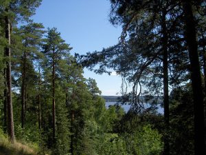 1200px-Pyynikki_ridge4